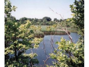 Night Hike @ Upper Roxborough Reservoir Preserve @ Upper Roxborough Reservoir Preserve