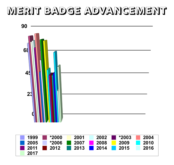Troop 334 Merit Badge Advancement